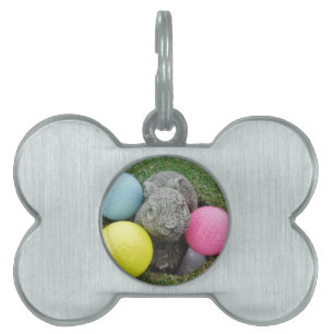 Placa Para Mascotas Conejo con huevo amarillo azul rosa