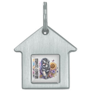 Placa Para Mascotas Conservar o Agregar la Foto de tu Mascota