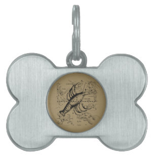 Placa Para Mascotas Constelación del cáncer Hevelius 1690