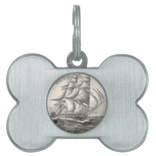 Placa Para Mascotas Constitución de los Estados Unidos