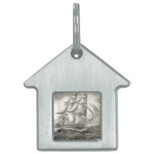 Placa Para Mascotas Constitución de los Estados Unidos