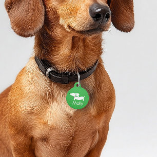 Placa Para Mascotas Contacto de nombre personalizado de Dachshund Gree