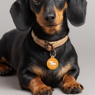 Placa Para Mascotas Contacto de nombre personalizado de Dachshund Nara