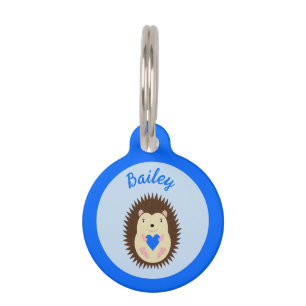 Placa Para Mascotas Corazón Azul Niño Erizo Personalizado
