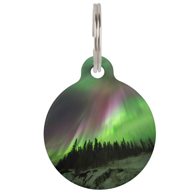 Placa Para Mascotas Corona Aurora (Anverso)