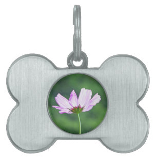 Placa Para Mascotas Cosmos