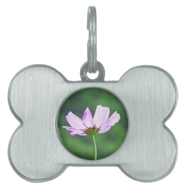 Placa Para Mascotas Cosmos (Frente)