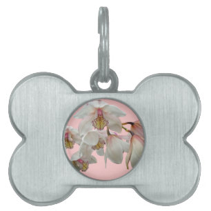 Placa Para Mascotas Crema y orquídeas rosas