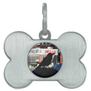 Placa Para Mascotas Crow japonés