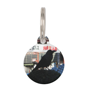 Placa Para Mascotas Crow japonés