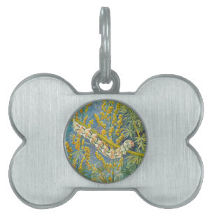 Placa Para Mascotas Cucullia Absinthii Wormwood Caterpillar