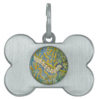 Placa Para Mascotas Cucullia Absinthii Wormwood Caterpillar