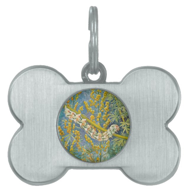 Placa Para Mascotas Cucullia Absinthii Wormwood Caterpillar (Frente)