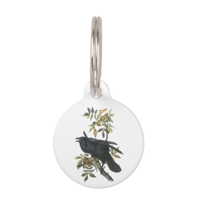 Placa Para Mascotas Cuervo común por Audubon (Anverso)