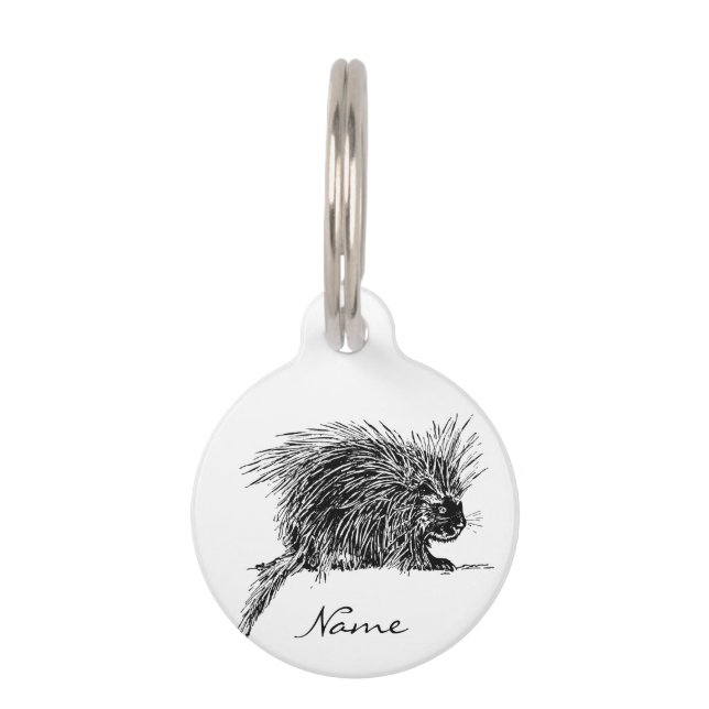 Placa Para Mascotas Cuidada y espeluznante Hedgehog Thunder_Cove (Anverso)