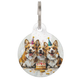 Placa Para Mascotas Cumpleaños Pembroke Welsh Corgi Dogs