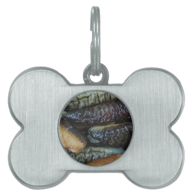 Placa Para Mascotas Cupepino marino... Comida del mercado de Yaowarat (Frente)