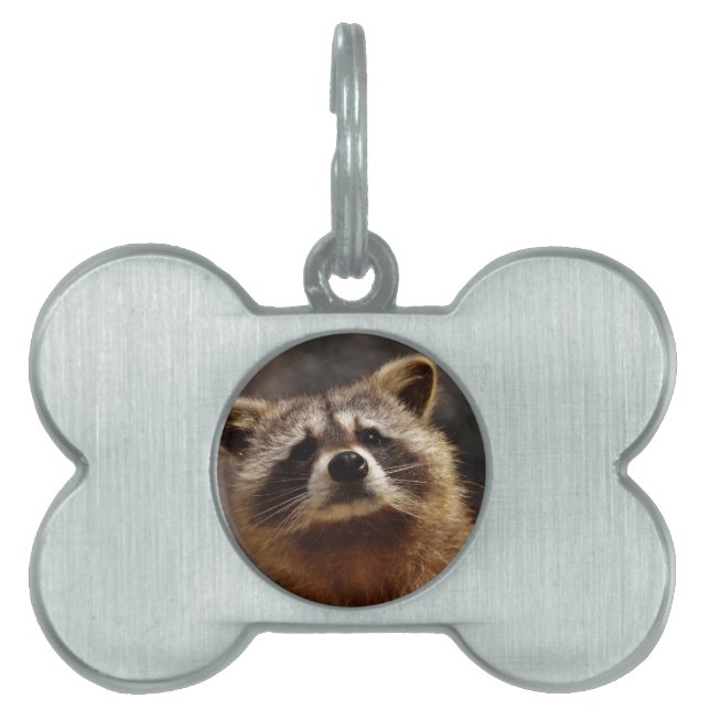 Placa Para Mascotas Curioso mapache (Frente)