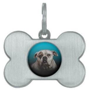 Placa Para Mascotas Cute Boxer Dog con fondo de degradado negro azul