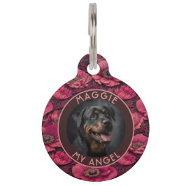 Placa Para Mascotas Cute Cat Gift Anemones