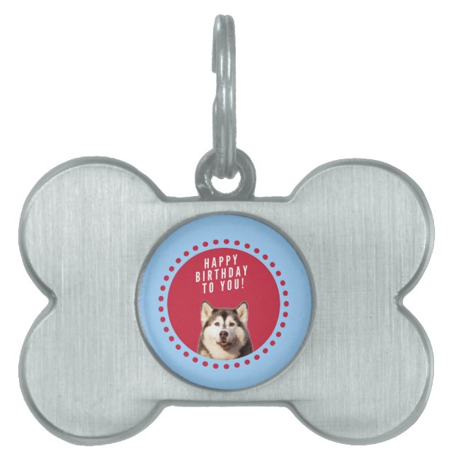 Placa Para Mascotas Cute Siberian Husky Feliz cumpleaños puntos rojos  (Frente)