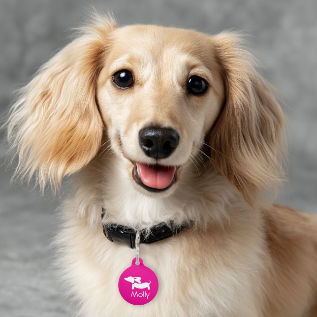 Placa Para Mascotas Dachshund Charm Rosa Personalizado Contacto de nom (Pink dachshund ID tag for wiener dogs)