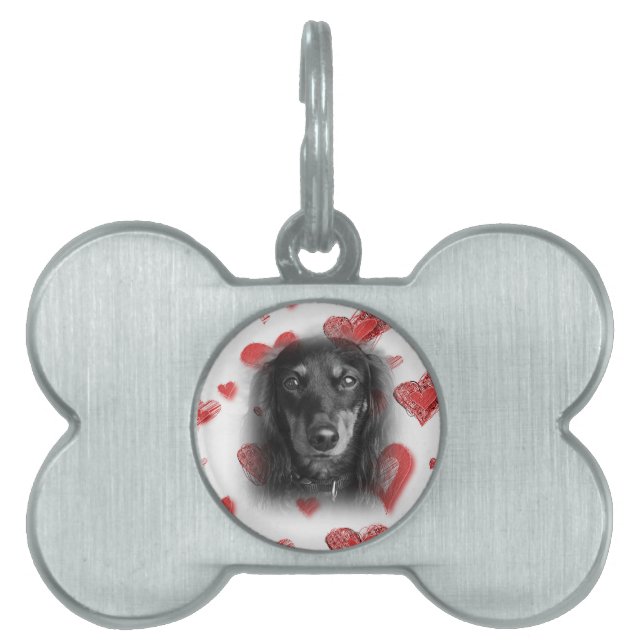 Placa Para Mascotas Dachshund con corazones rojos (Frente)