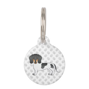 Placa Para Mascotas Dachshund de pelo corto negro y bronceado piebald 
