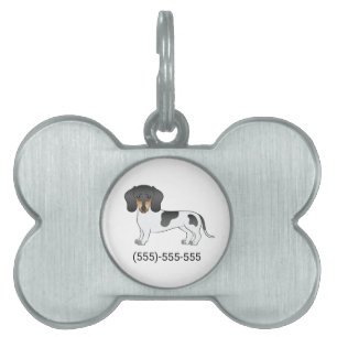 Placa Para Mascotas Dachshund de pelo corto piebald negro y bronceado 