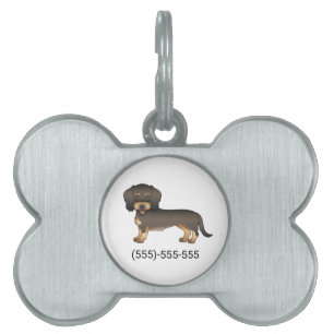 Placa Para Mascotas Dachshund de pelo duro jabalí & Número de teléfono