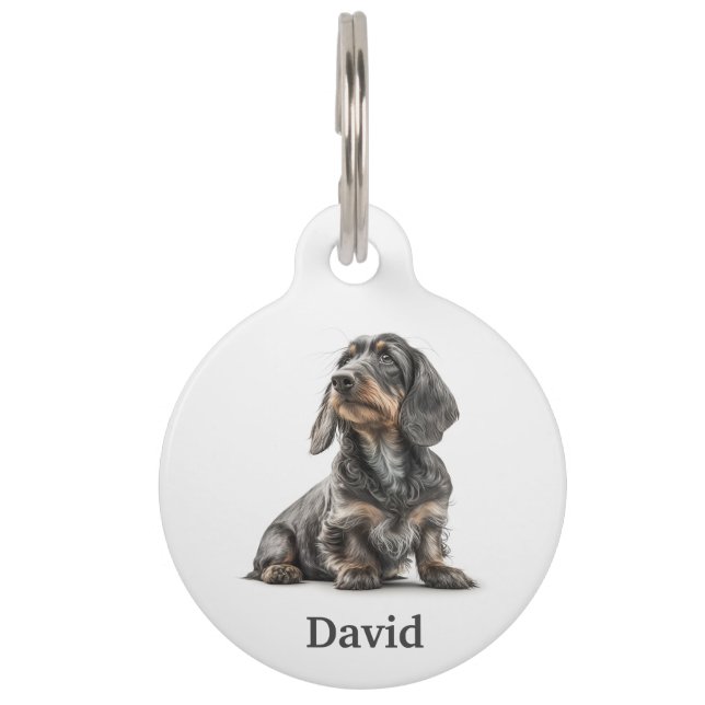 Placa Para Mascotas Dachshund de pelo duro Personalizar (Anverso)