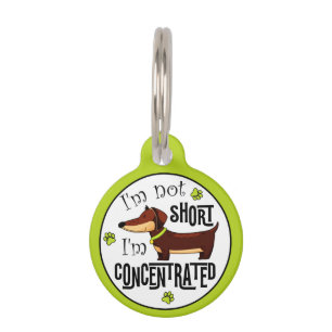 Placa Para Mascotas Dachshund No Soy Bajo Estoy Concentrado