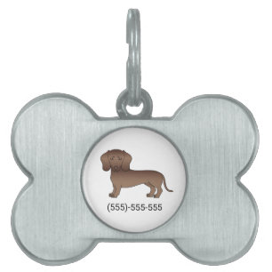 Placa Para Mascotas Dachshund Pelo Corto Chocolate Perro Lindo & Númer