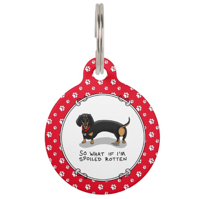 Placa Para Mascotas Dachshund podrido podrido (S negro & tan) Perro cu (Anverso)
