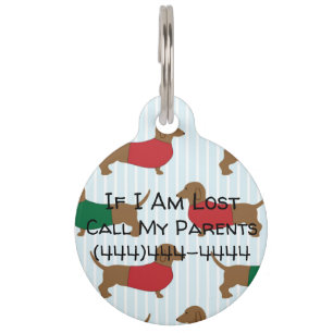 Placa Para Mascotas Dachshunds en sudaderos personalizados