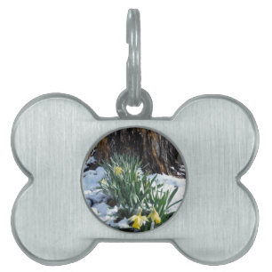 Placa Para Mascotas Dafpies amarillos en la nieve