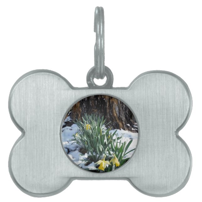 Placa Para Mascotas Dafpies amarillos en la nieve (Frente)