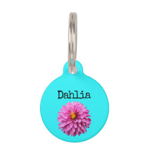 Placa Para Mascotas Dahlia púrpura rosada verde azulada