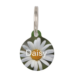 Placa Para Mascotas Daisy
