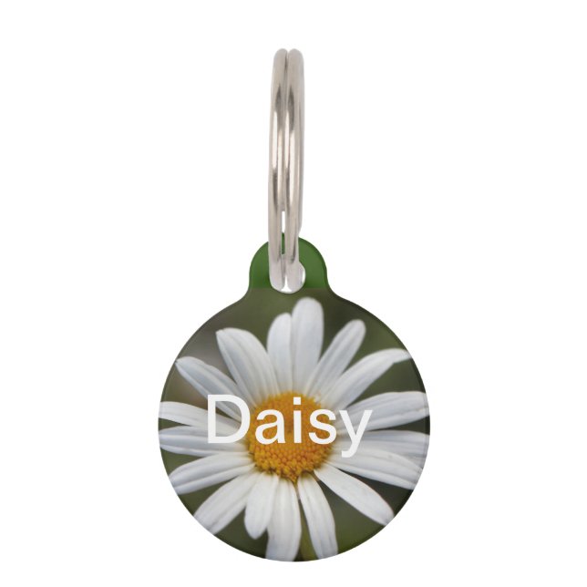 Placa Para Mascotas Daisy (Anverso)