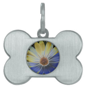 Placa Para Mascotas Daisy Lapis africano y etiqueta de mascota de oro