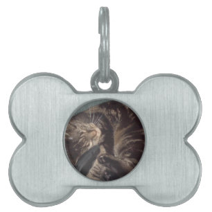 Placa Para Mascotas Dave juguetón