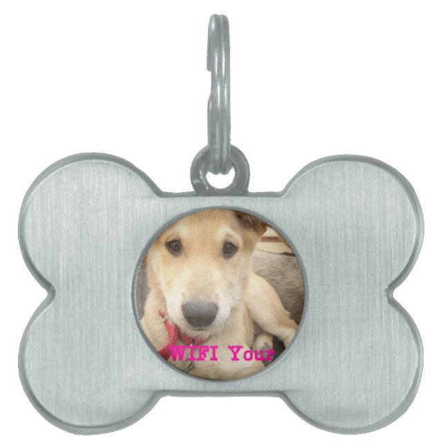 Placa Para Mascotas Deberías Despertar Tu Amor A Diario (Frente)