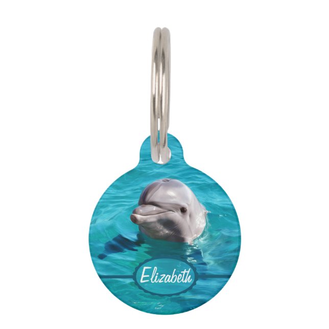 Placa Para Mascotas Delfín en foto del agua azul (Anverso)