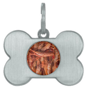 Placa Para Mascotas Deliciosos Langostinos