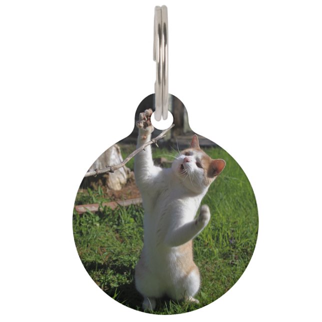 Placa Para Mascotas Depredador Feroz (Anverso)
