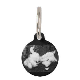 Placa Para Mascotas deslizar