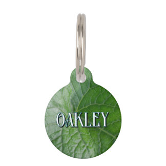 Placa Para Mascotas Detalle de la hoja verde