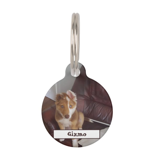 Placa Para Mascotas Detalles y foto del mascota (Anverso)