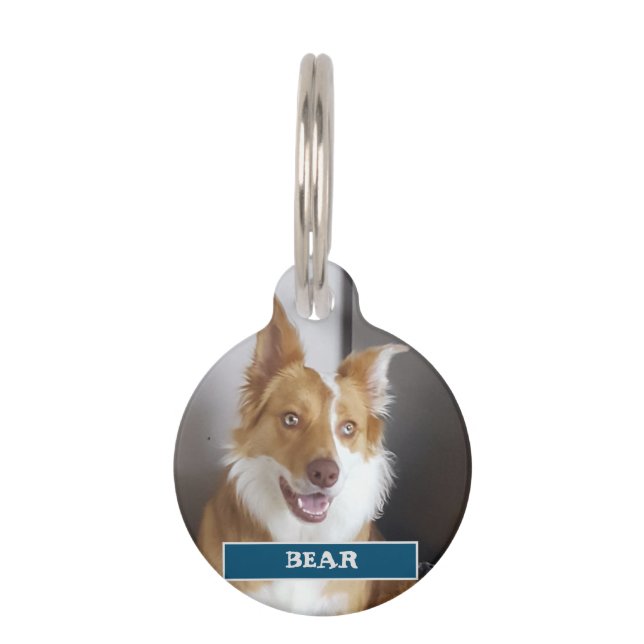 Placa Para Mascotas Detalles y foto del mascota (Anverso)